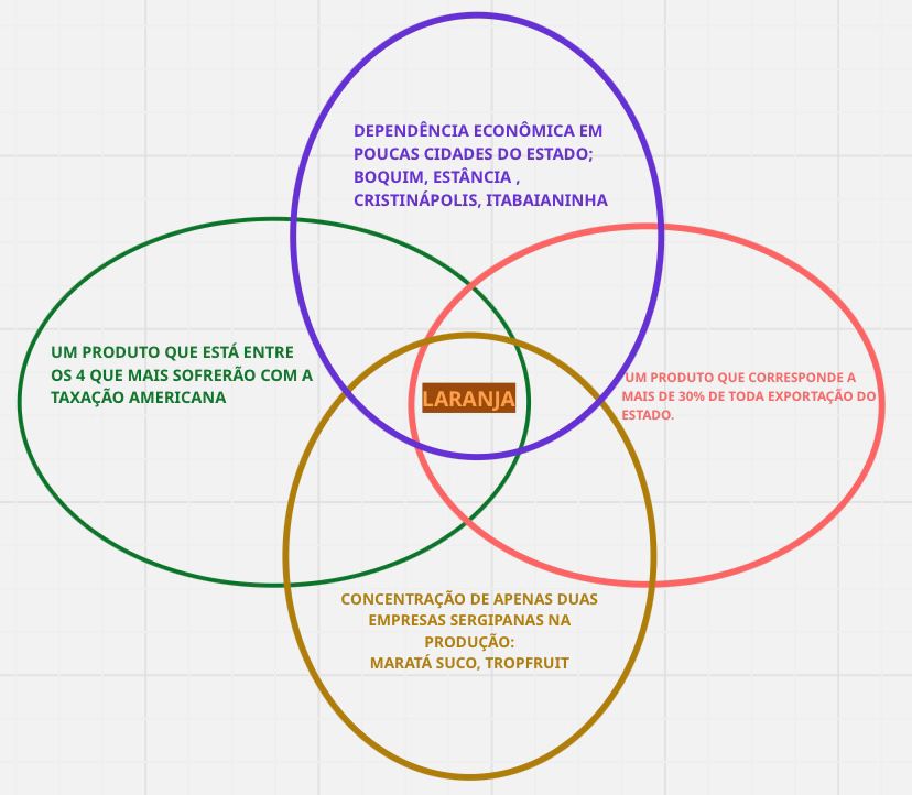 Read more about the article O impacto da Taxação Americana no Estado de Sergipe.